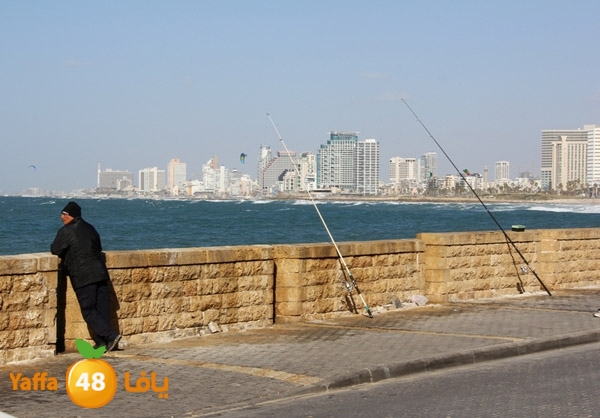 mina2 yaffaj343 (18).jpg